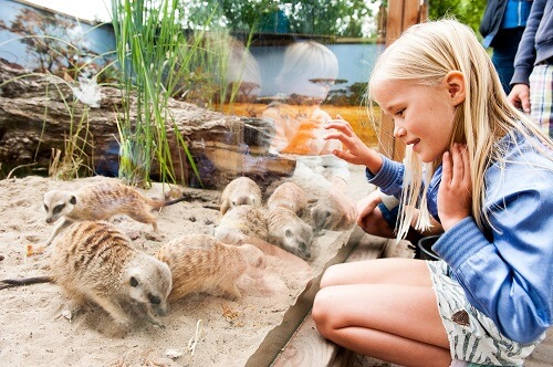 Plaswijckpark speeltuin en dierentuin