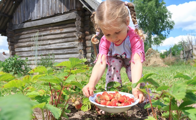 Editor Voornaamwoord Verpersoonlijking Zelf groente kweken met je kinderen | Website4Mama.nl