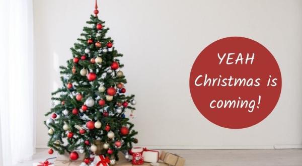 De Feestdagen Blogbox vol met kerstinspiratie