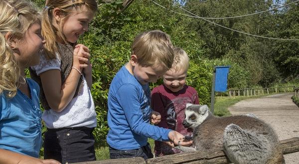 Verrassend leuke kleinere dierenparken in Nederland
