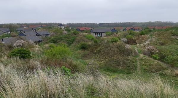 De leukste bungalowparken van Nederland
