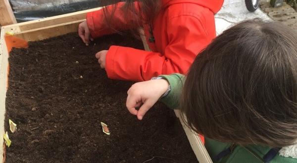 Moestuinieren met MadameMoes