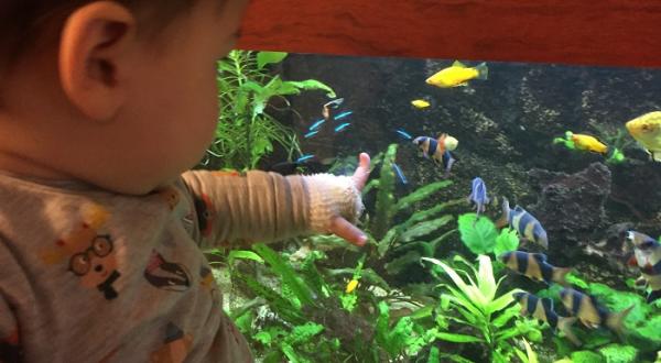 Melek's ziekenhuis update: Het aquarium